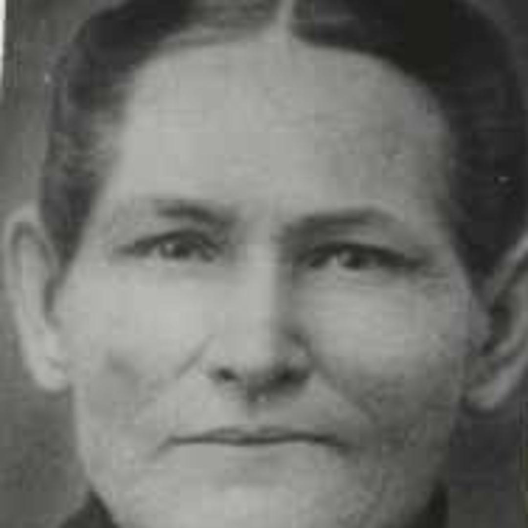 Charlotte Snelson (1843 - 1921) Profile